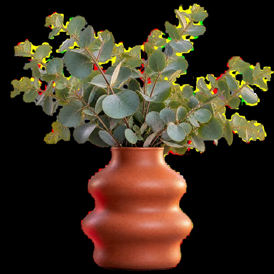 Isolated ceramic vase with eucalyptus on a transparent background